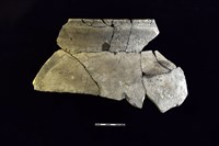 陶罐藏品圖，第1張